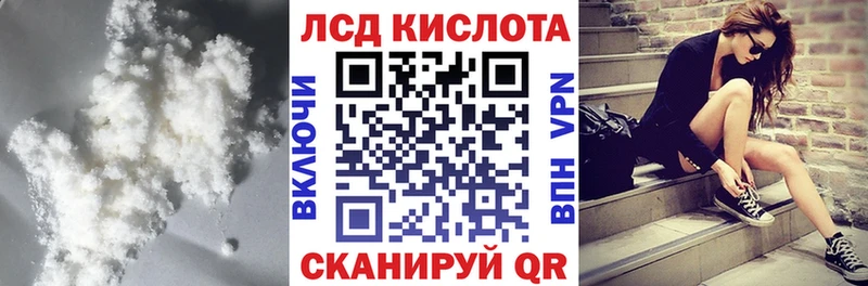 kraken как войти  Грозный  Лсд 25 экстази кислота 