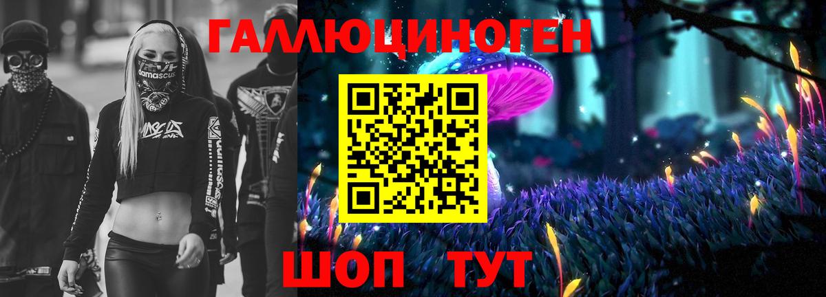 закладка  Псилоцибиновые грибы Psilocybine cubensis  Вход с VPN  Грозный  Галлюциногенные грибы мицелий 